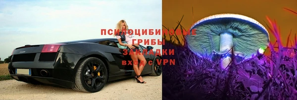 сатива Верея