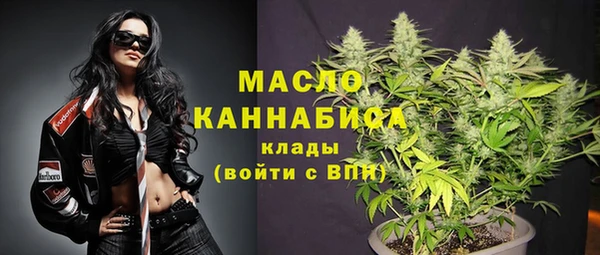 сатива Верея