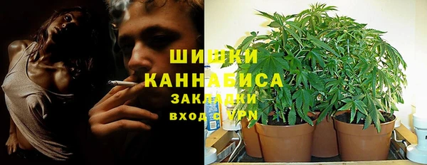 сатива Верея