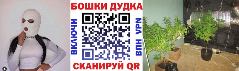 Конопля THC 21%  Симферополь 